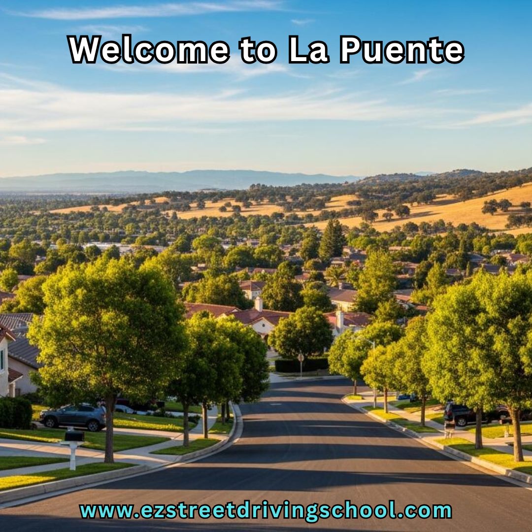 Driving Lessons in La Puente